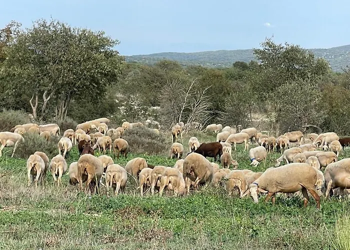 Domaine De Saxe-roux, 2 Bed Cottage, * Sauve